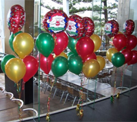 Balloon Modeller Coachford